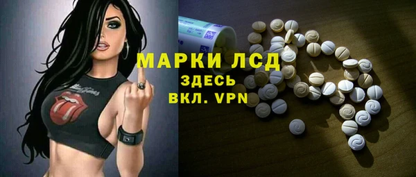 ГАЛЛЮЦИНОГЕННЫЕ ГРИБЫ Новозыбков