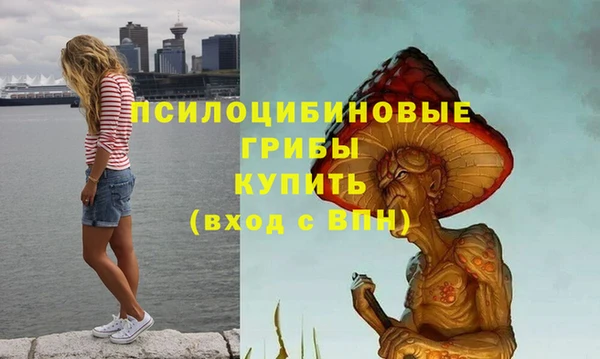 гидропоника Алексин